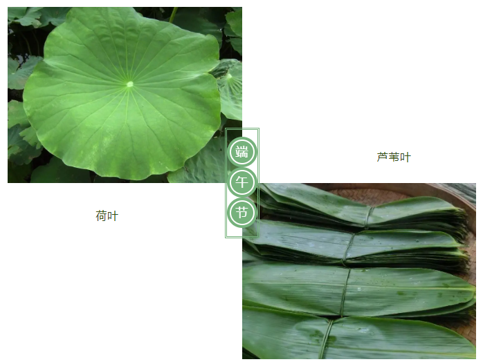 壹号娱乐医纺