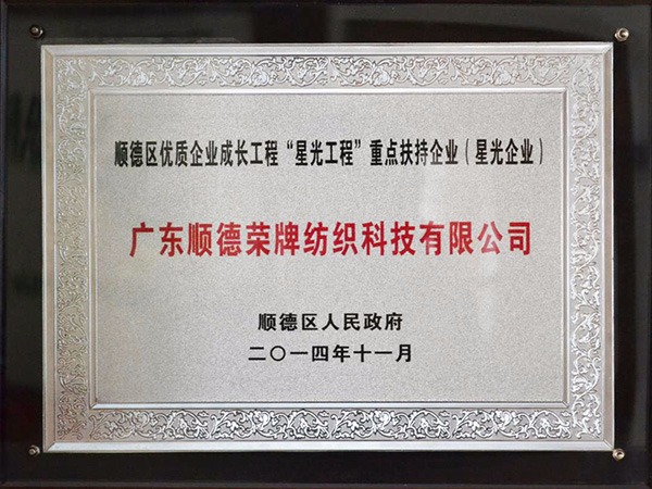 壹号娱乐-2012年获顺德政府颁发“星光企业”称号