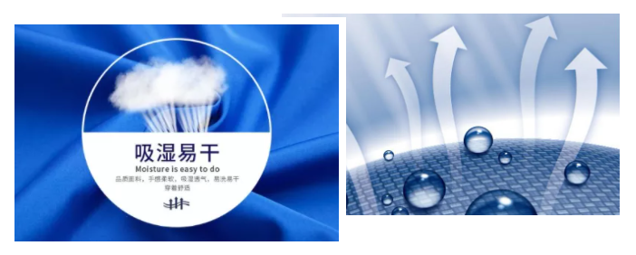 壹号娱乐医纺
